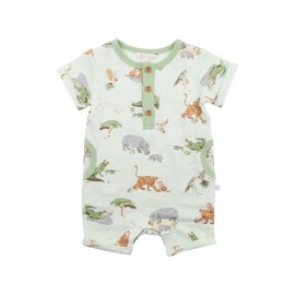 Fox & Finch - The Waterhole...
