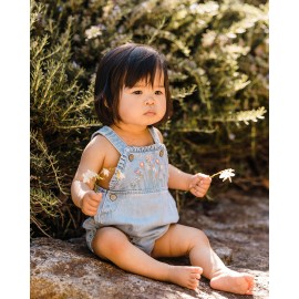 Fox & Finch - Palm Cove...