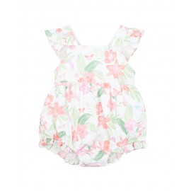 Fox & Finch - Palm Cove...