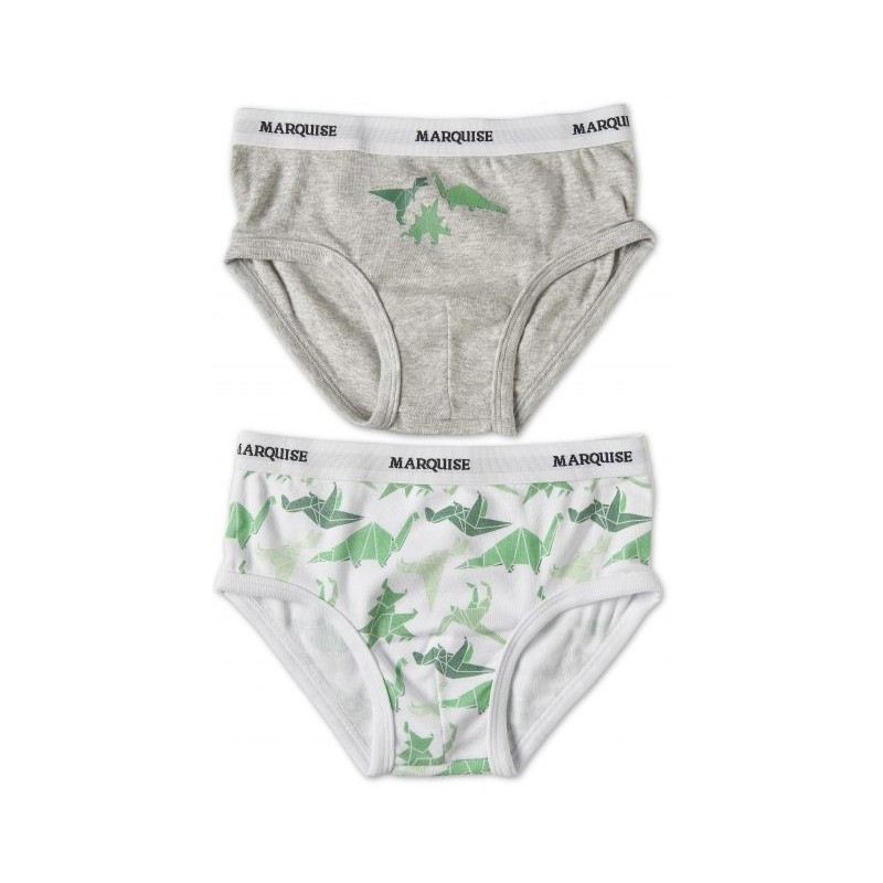Marquise - 2 Pack Boys Underwear Dinosaurs Grey/Print